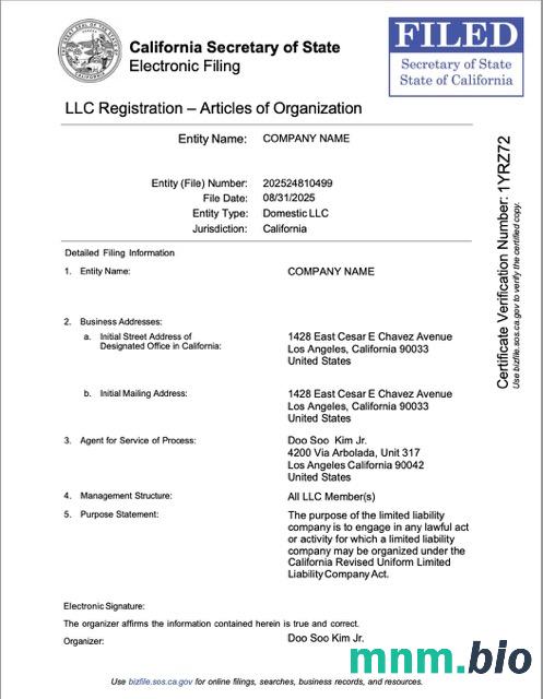 USA California LLC registration Word i szablon PDF